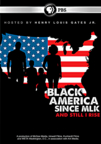 Black America Since MLK: And Still I Rise book jacket