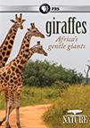Giraffes: Africa's Gentle Giants book jacket